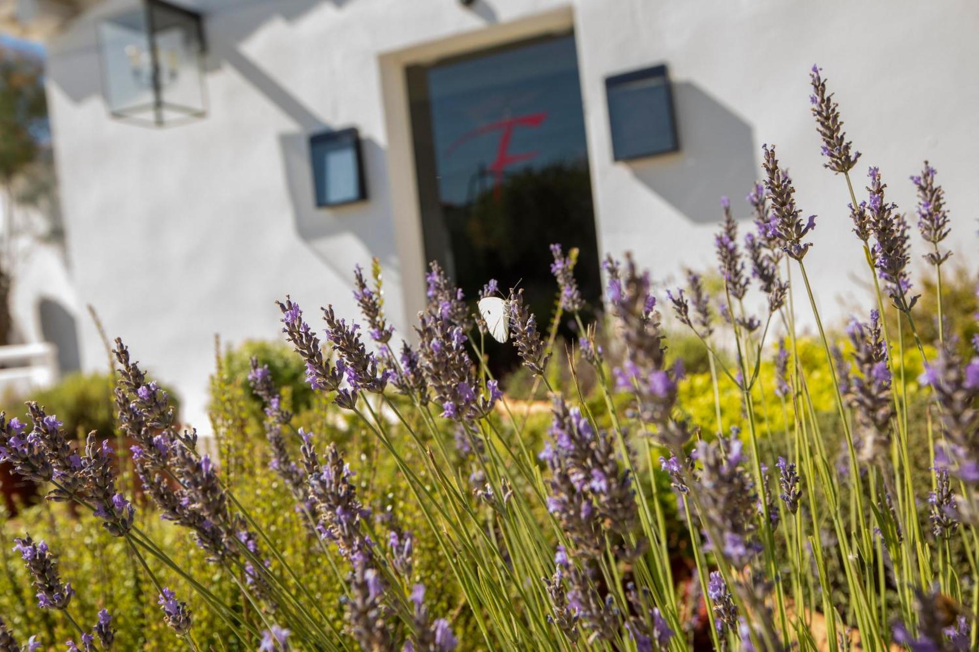Mas De La Fouque - Hotel & Spa Saintes-Maries-de-la-Mer Exteriér fotografie